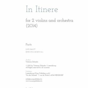 In Itinere for 2 violins and orchestra, orchestral parts for hire